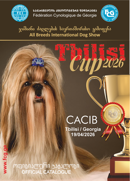 Tbilisi Cup April 2026 Copy