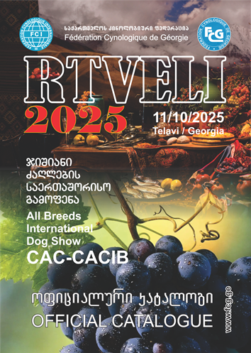 2025 kdebi 11 oct